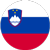 Slovenia Flag